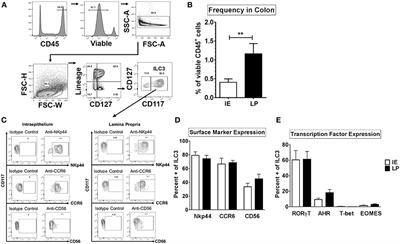 Commensal and Pathogenic Bacteria Indirectly Induce IL-22 but Not IFNγ Production From Human Colonic ILC3s via Multiple Mechanisms